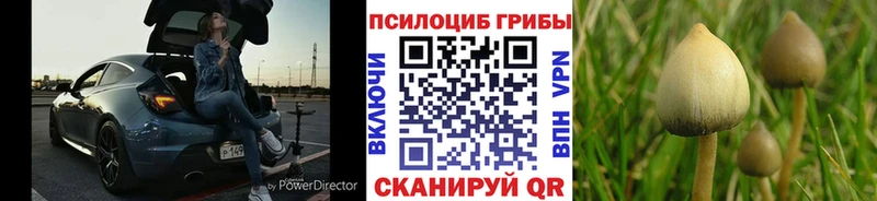 Галлюциногенные грибы мухоморы  Навашино 