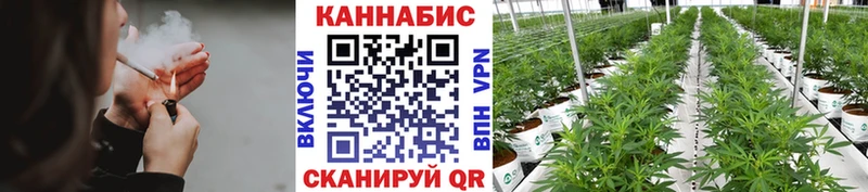 Канабис OG Kush  Навашино 
